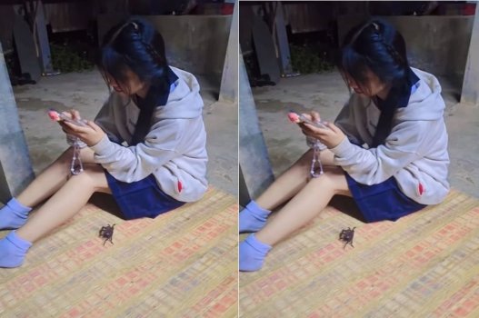 Chén bát cuối cùng, vào làm tình